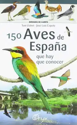Popular 150 AVES DE ESPAÑA QUE HAY QUE CONOCER