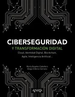 Oferta Flash CIBERSEGURIDAD Y TRANSFORMACIÓN DIGITAL