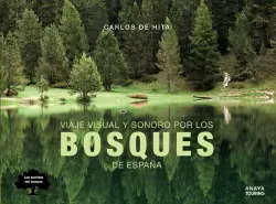 VIAJE VISUAL Y SONORO POR LOS BOSQUES DE ESPAÑA Última Oportunidad
