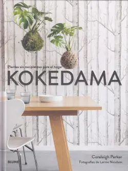 Liquidación Kokedama