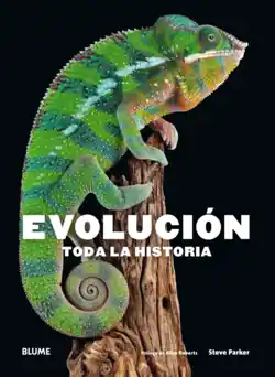 Bestseller Evolución. Toda la historia (2018)