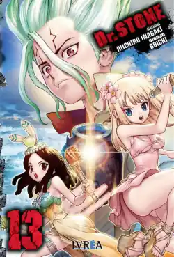 Bestseller Dr Stone 13