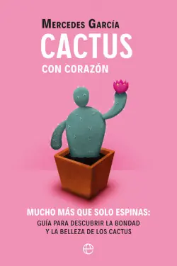 Cactus con corazón Solo Hoy