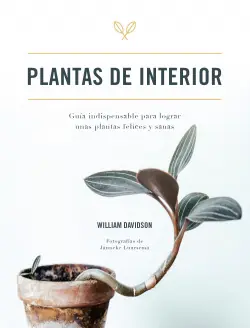 PLANTAS DE INTERIOR Compra Ahora
