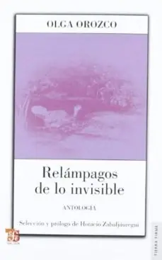 RELAMPAGOS DE LO INVISIBLE Rebajas