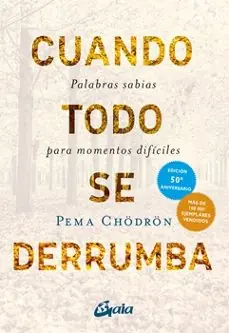 Certificado Cuando todo se derrumba