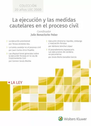 La Ejecución y las Medidas Cautelares en el Proceso Civil Compra Ahora