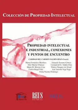 Mejor Precio Propiedad Intelectual e Industrial, Conexiones y Puntos de Encuentro