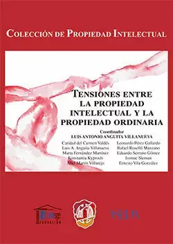 Promoción Exclusiva Tensiones entre la Propiedad Intelectual y la Propiedad Ordinaria