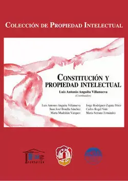 Constitución y Propiedad Intelectual Oferta Limitada