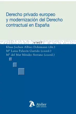 Derecho Privado Europeo y Modernización del Derecho Contractual en España. Precio Rebajado