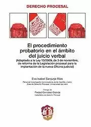 Económico El Procedimiento Probatorio en el Ámbito del Juicio Verbal