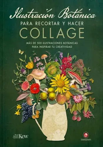 ILUSTRACION BOTANICA PARA RECORTAR Y HACER COLLAGE ILUSTRACION BOTANICA PARA RECORTAR Y HACER COLLAGE Directo De Fábrica