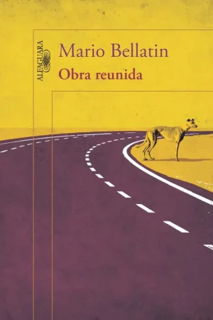Súper Precio Obra reunida