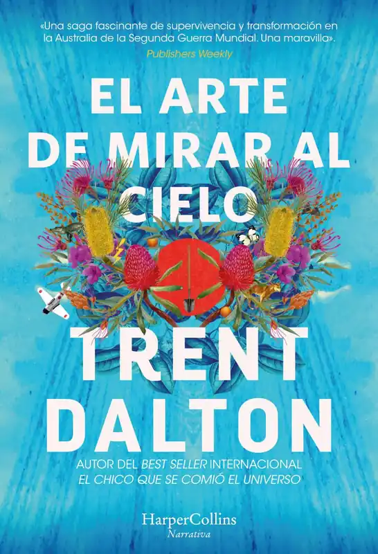 Venta Final El arte de mirar al cielo