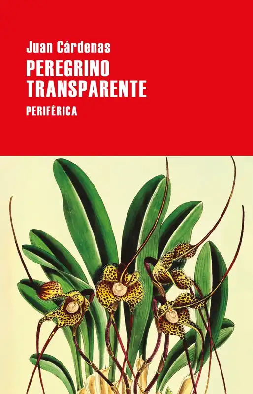 Peregrino transparente Precio De Fábrica