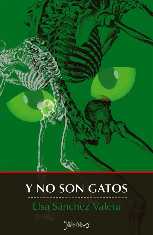 Precio Bajo Y no son gatos