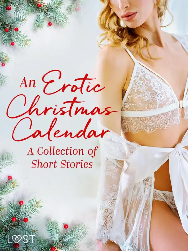 An Erotic Christmas Calendar A Collection of Short Stories Directo De Fábrica