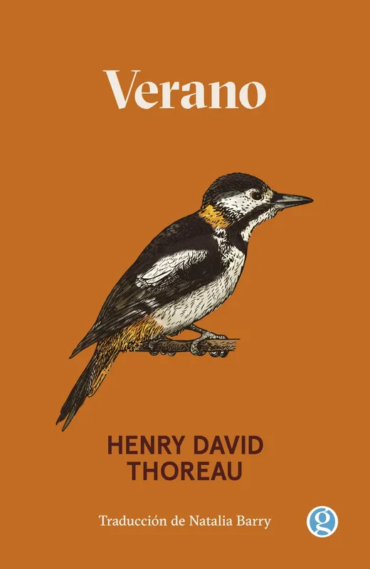 Verano Pago Seguro