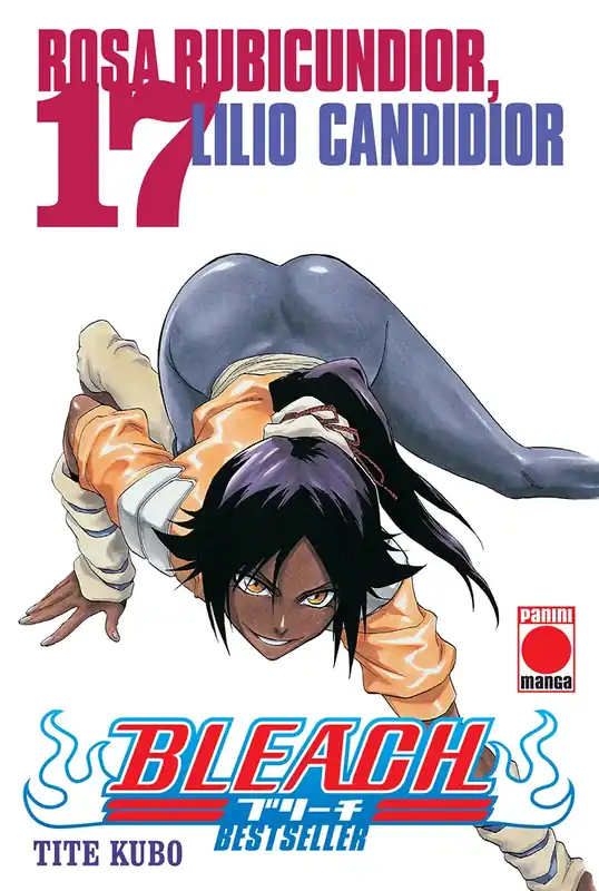Bleach Bestseller 17 Entrega Rápida