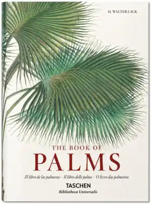 MARTIUS. EL LIBRO DE LAS PALMERAS Compra Hoy
