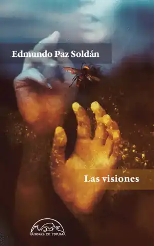 VISIONES, LAS * Precio Reducido