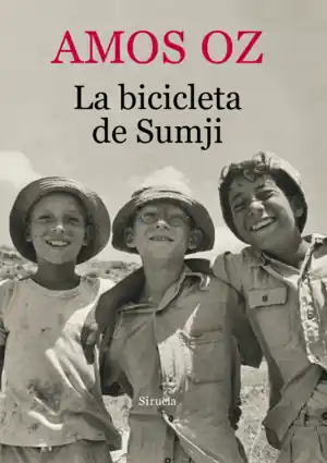 BICICLETA DE SUMJI Liquidación